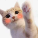 🤚-Meow (==) (@StellarCats_Meow), Telegram Sticker