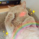 🙈-Meow (==) (@StellarCats_Meow), Telegram Sticker