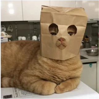 💛-@NIIEE , Telegram Sticker