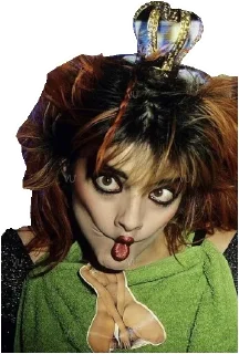 😜-Nina Hagen, Telegram Sticker