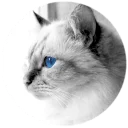 😄-noanoa, Telegram Sticker