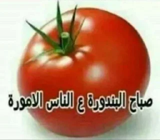 𝖭𝗈𝗋𝗆 𝖲𝗍𝗂𝖼𝗄𝖾𝗋𝗌 ~ @MohagdiStick