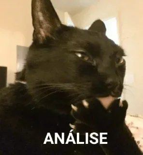 🤔-🅵üńđø Đø 🅿øçø, Telegram Sticker