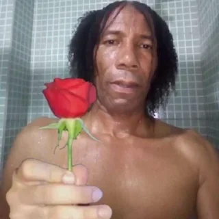 🌹-🅵üńđø Đø 🅿øçø, Telegram Sticker