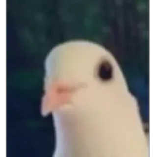 😶-🅵üńđø Đø 🅿øçø, Telegram Sticker