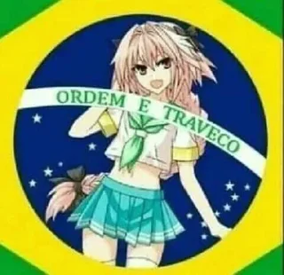 🇧🇷-🅵üńđø Đø 🅿øçø, Telegram Sticker