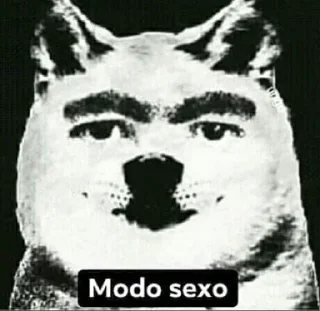 🐶-🅵üńđø Đø 🅿øçø, Telegram Sticker
