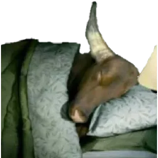 🐂-🅵üńđø Đø 🅿øçø, Telegram Sticker
