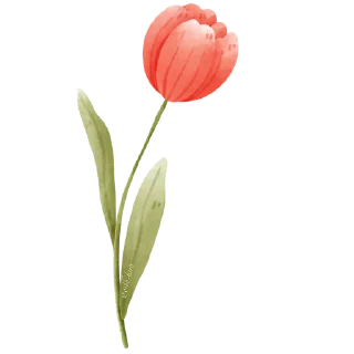🌸-عــذوبـــــ, Telegram Sticker