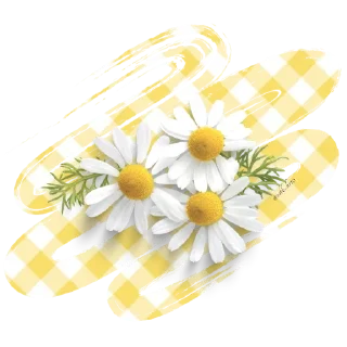 🤍-عــذوبـــــ, Telegram Sticker