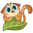 🐱-Orange Sunshine, Telegram Sticker