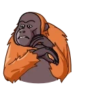 😨-Orangoutang, Telegram Sticker