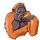 🙄-Orangoutang, Telegram Sticker