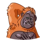 😘-Orangoutang, Telegram Sticker