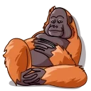 👋-Orangoutang, Telegram Sticker