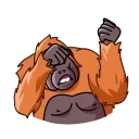 💃-Orangoutang, Telegram Sticker