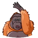 😂-Orangoutang, Telegram Sticker