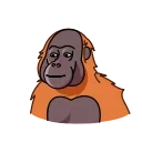 🤩-Orangoutang, Telegram Sticker