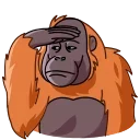 👀-Orangoutang, Telegram Sticker