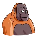 😳-Orangoutang, Telegram Sticker
