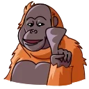 🙅‍♂️-Orangoutang, Telegram Sticker