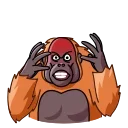 😡-Orangoutang, Telegram Sticker