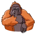 👍-Orangoutang, Telegram Sticker