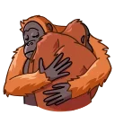 🤗-Orangoutang, Telegram Sticker