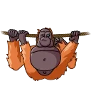 👌-Orangoutang, Telegram Sticker