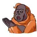 👏-Orangoutang, Telegram Sticker