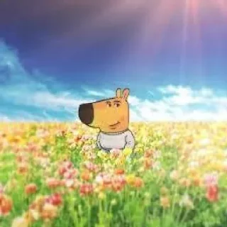 🌅-Чиловый парень @TgSticker, Telegram Sticker