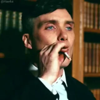 Peaky Blinders (@TodorokiShouto)