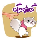 🐱-Persian cat, Telegram Sticker
