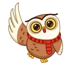 👋-Polar Owl, Telegram Sticker