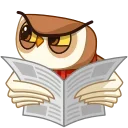 🤨-Polar Owl, Telegram Sticker
