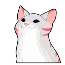 😼-Popping Cat @TgSticker, Telegram Sticker