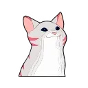 🤩-Popping Cat @TgSticker, Telegram Sticker