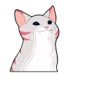 😺-Popping Cat @TgSticker, Telegram Sticker