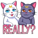 🤨-Sailor Moon, Telegram Sticker