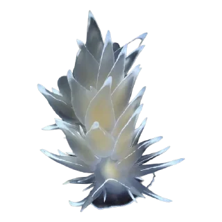🐌-Procreate_davinci, Telegram Sticker