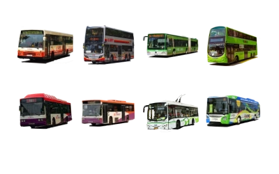 Buses