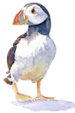 😌-PuffinRock, Telegram Sticker