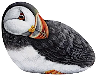 😴-PuffinRock, Telegram Sticker