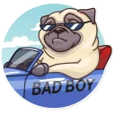 😎-Pug Power, Telegram Sticker