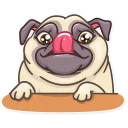 🤤-Pug Power, Telegram Sticker