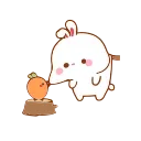 😠-Carrot @QStickers, Telegram Sticker