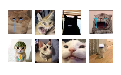 Cats by @stkckers @Unfunnyhooman