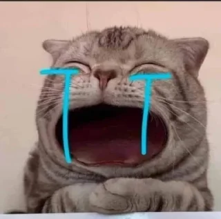 😭-Cats by @stkckers @Unfunnyhooman, Telegram Sticker
