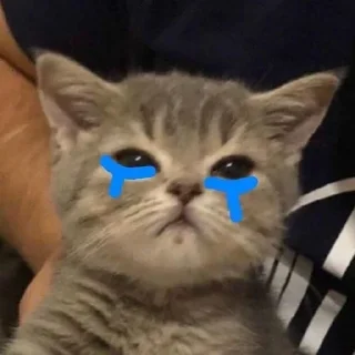 😢-Cats by @stkckers @Unfunnyhooman, Telegram Sticker