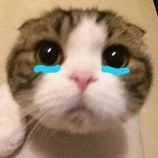 😭-Cats by @stkckers @Unfunnyhooman, Telegram Sticker